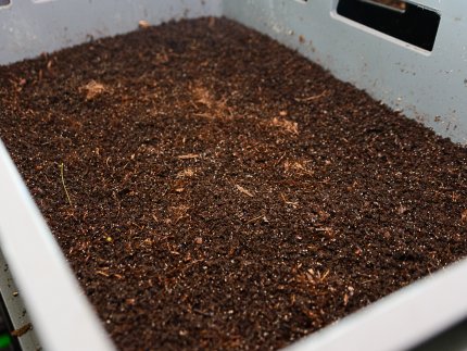 Знахідка для фермерів: луцька компанія створює біогумус для іноземців та всієї України* 