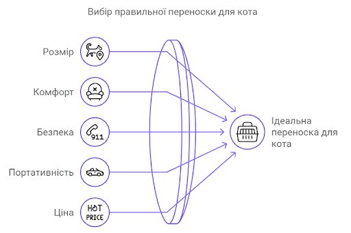Дорога з котом: як підготуватися до подорожі