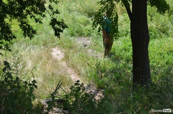 У якому стані луцькі пляжі. ФОТО
