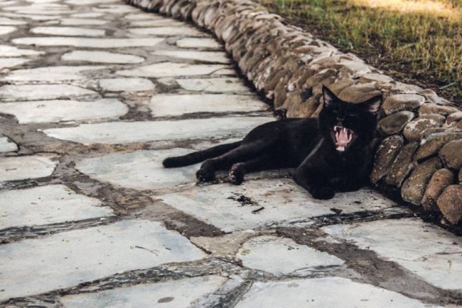 «Нотатки мандрівниці» Олександри Гусар про ОАЕ: Специфічні запахи та секс-туризм