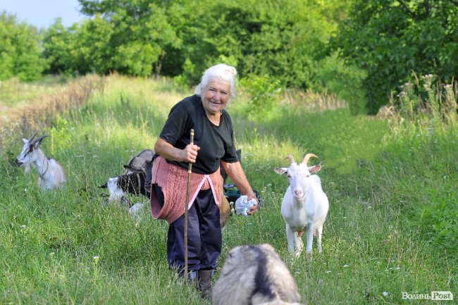 «Вони, як люди - кожна зі своїм характером», - луцька «козяча мама»
