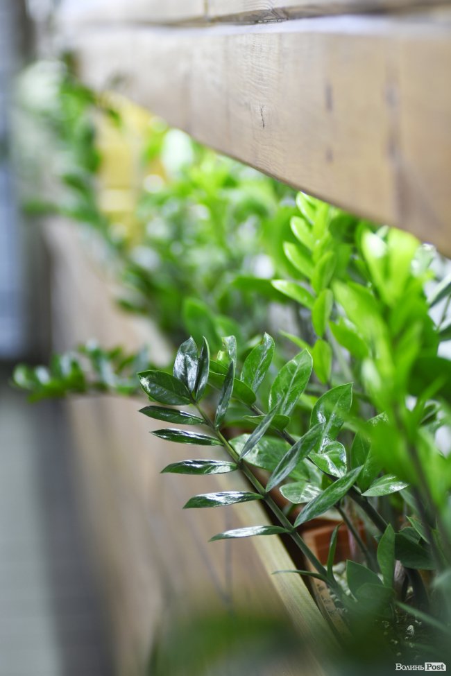 Відкриття сучасних їдалень та доставка харчування: Роман Хорзов про «фішки» для бізнесу від «Волиньспецхіту»*