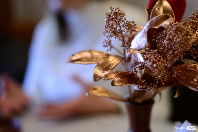 «Хто готуватиме та як ділитимете сімейний бюджет варто вирішувати ще до шлюбу»: психологиня з Луцька – про справи амурні