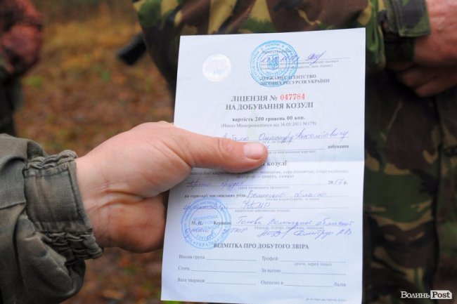 Нічні погоні та браконьєри: як працює лісова рейдова група. ФОТО