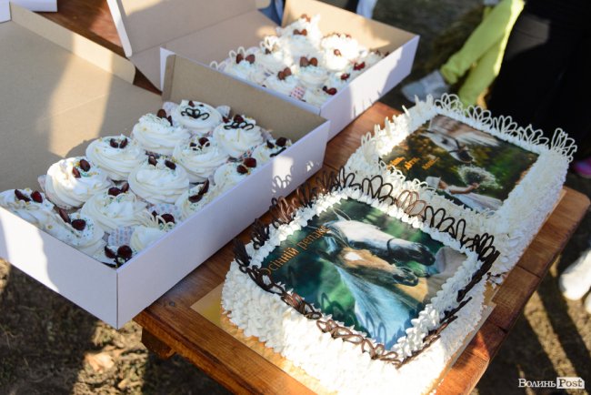 Знайомили з кіньми, катали на кареті і вчили малювати: під Луцьком – яскраве свято для «сонячних» діток. ФОТОРЕПОРТАЖ 