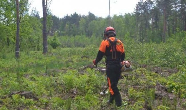 Якими б не були машини, вони не здатні на 100% замінити людські руки у справі догляду за лісовими культурами, а згодом – молодим лісом