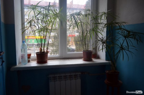 Студентський ревізор: грибок, вікінги і контрасти у гуртожитку №2