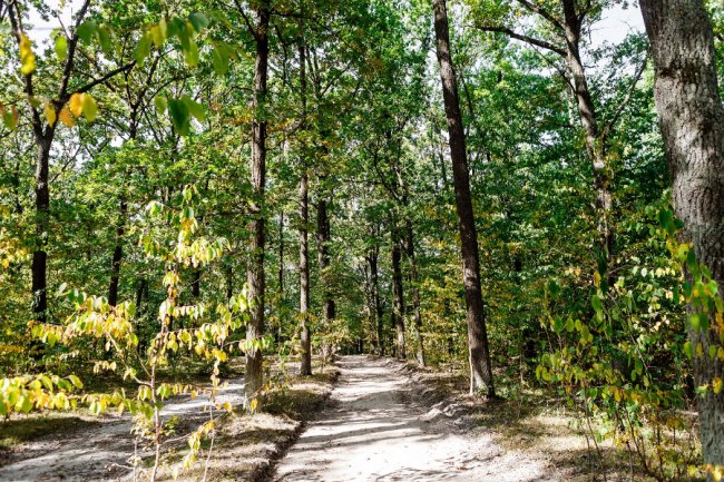 «Струмівка справді стала щасливішою», – житель села про те, як забудовник змінив життя мешканців