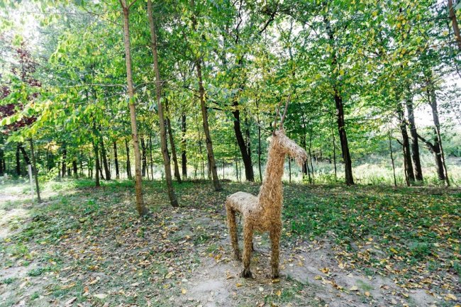 «Струмівка справді стала щасливішою», – житель села про те, як забудовник змінив життя мешканців