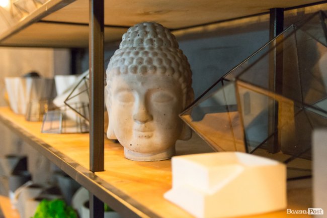 Бізнес у стилі «лофт»: майстриня з Луцька вирощує рослини в бетоні. ФОТО