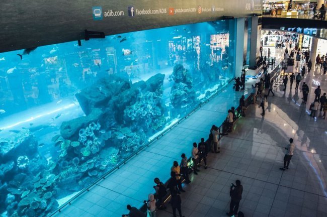 «Нотатки мандрівниці» Олександри Гусар про ОАЕ: Специфічні запахи та секс-туризм