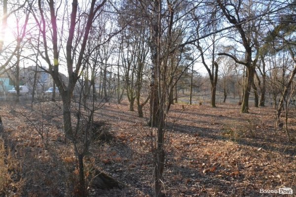 Земельні «розборки» по-луцьки: частина перша