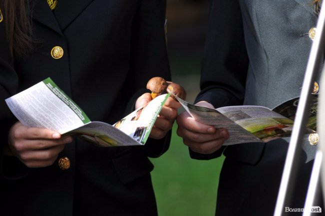 Маневицькими грибами смакуватиме Європа