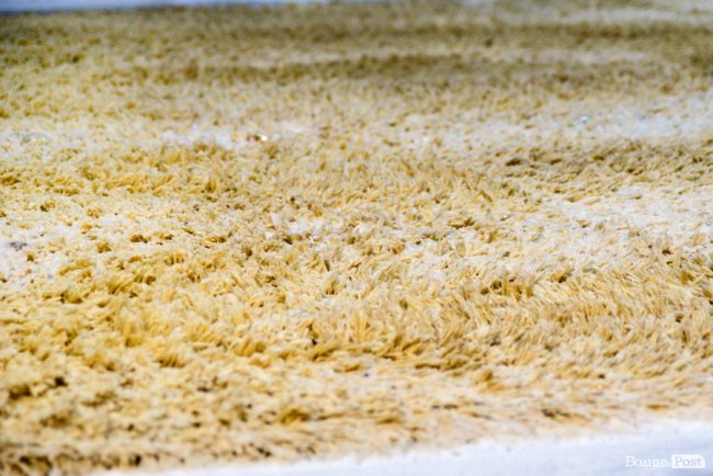 Зметуть весь бруд, як торнадо: де у Луцьку безпечно та без зайвих клопотів почистити килими. ФОТО*