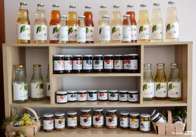 Природа – не на карантині: у волинських лісах збирають березовий сік для декількох континентів. ФОТО