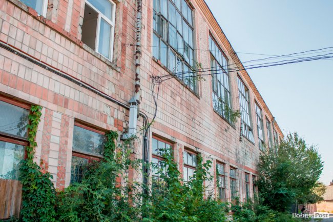 Чисте повітря та сільська тиша: за що лучани люблять Кічкарівку. ФОТО