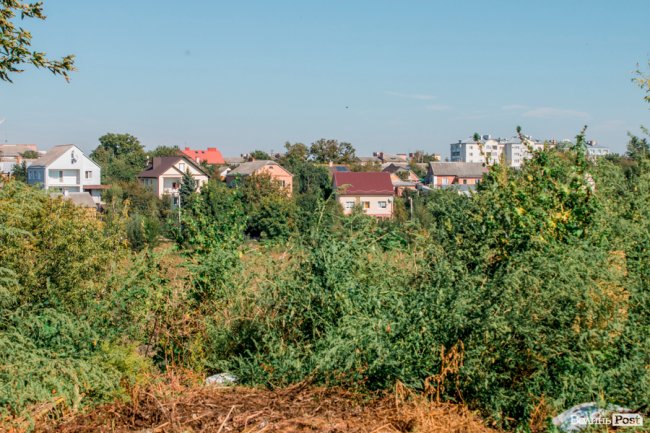 Чисте повітря та сільська тиша: за що лучани люблять Кічкарівку. ФОТО
