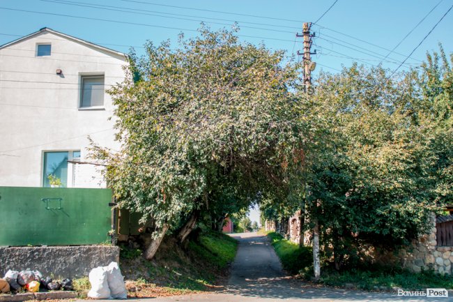 Чисте повітря та сільська тиша: за що лучани люблять Кічкарівку. ФОТО