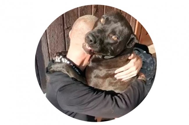 Спомин про Героя. Ластівка з Волині