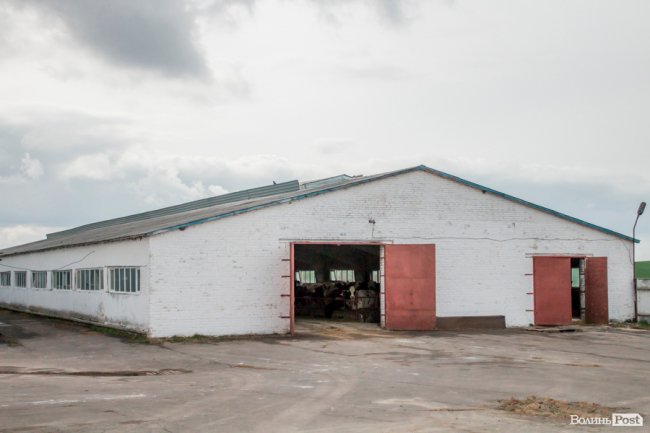 Без домішок і рослинних жирів: як на Волині виготовляють «молочку». ФОТО