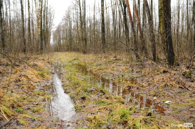 Лісівники показали, як розвивають мисливське господарство на Волині