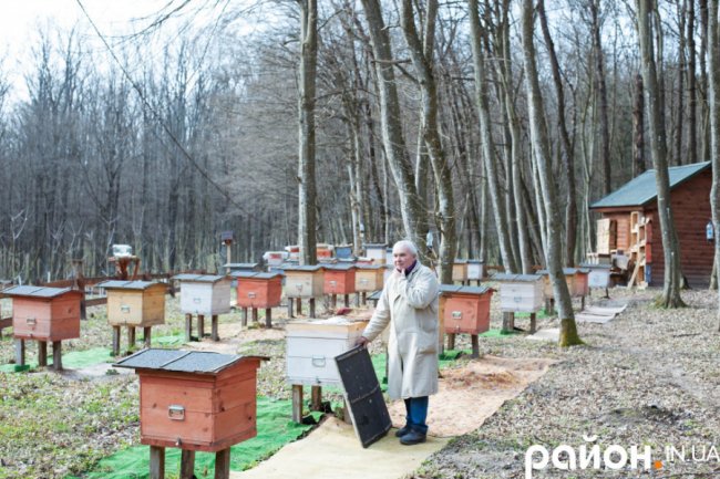 «Історії довкола лісу» і секрети бджолярства від волинського пасічника