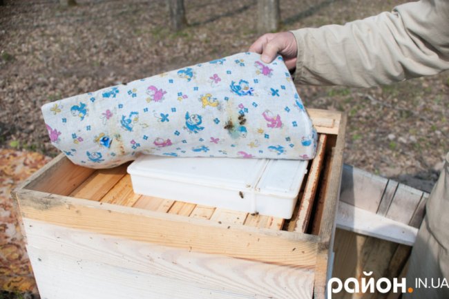 «Історії довкола лісу» і секрети бджолярства від волинського пасічника