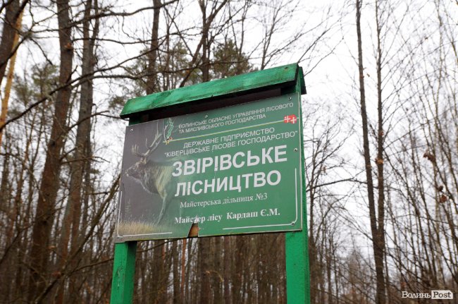 Лісівники показали, як розвивають мисливське господарство на Волині