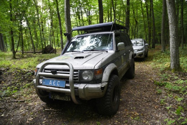 Головний «євробляхар» країни приїхав на Волинь шукати начебто крадений ліс