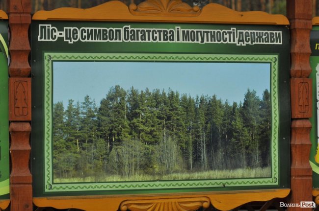 Маневицькими грибами смакуватиме Європа