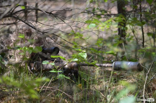 Патріоти краю і країни: як у лісах Волині тренуються загони тероборони