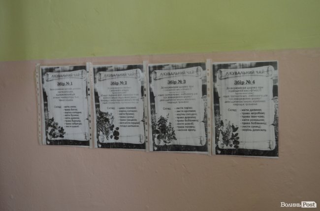 Замок божевілля і Невідомий №3: життя за стінами олицької психлікарні