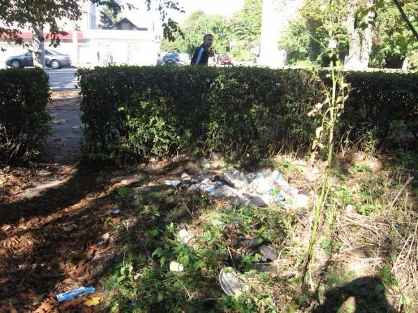 Сквер на вул. Рівненській