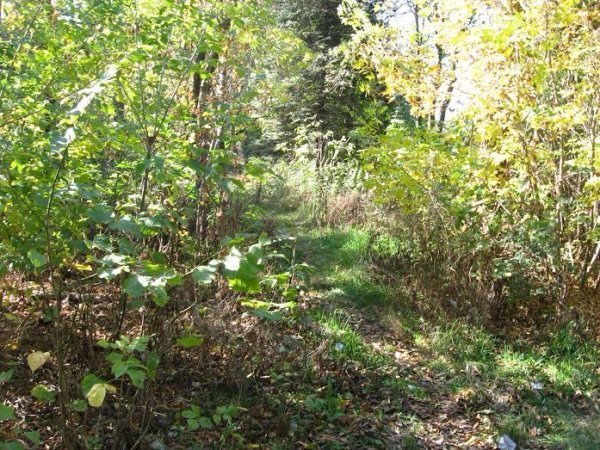 Сквер на вул. Рівненській