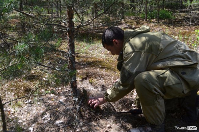 Патріоти краю і країни: як у лісах Волині тренуються загони тероборони