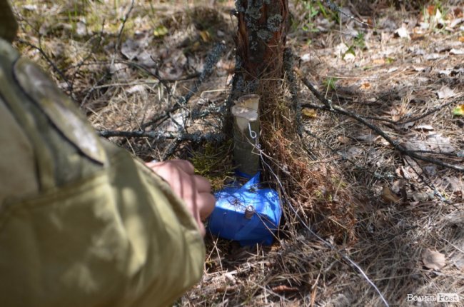 Патріоти краю і країни: як у лісах Волині тренуються загони тероборони