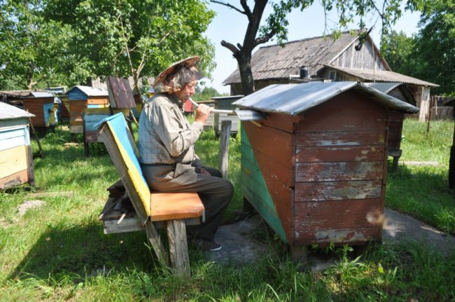 До бджолярства привів нещасний випадок: волинянин на пасіці оздоровлює людей