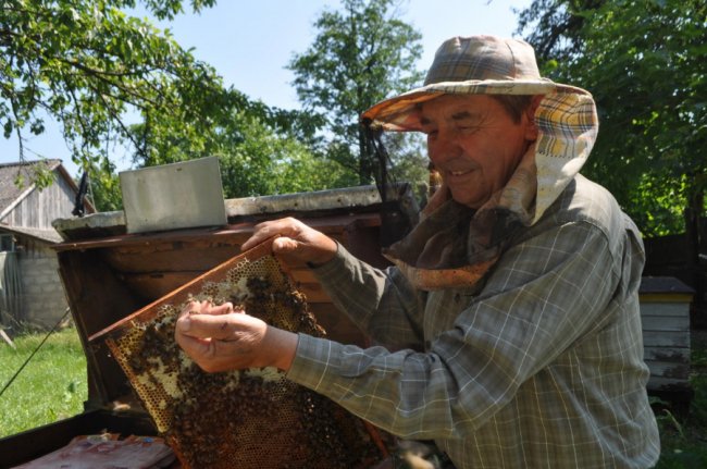 До бджолярства привів нещасний випадок: волинянин на пасіці оздоровлює людей