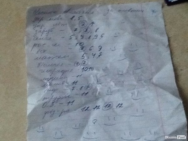 Жорстоке побиття школярки у Ковелі: педагоги, батьки та учні роблять винною потерпілу дитину. ФОТО. ВІДЕО 