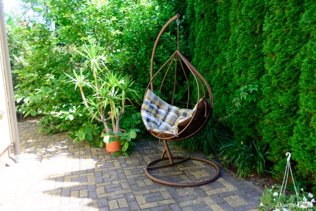   Місце сили Ірини Констанкевич. ІНТЕРВ’Ю ВДОМА У НАРОДНОЇ ДЕПУТАТКИ. ФОТО