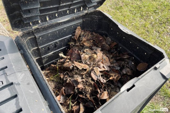 На Волині борються з паліями сухої рослинності: яке покарання чекає на порушників