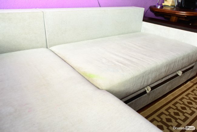 Порятунок від плям і шкідників: луцька клінінгова компанія «SAVA» надає послуги виїзної хімчистки. ФОТО*