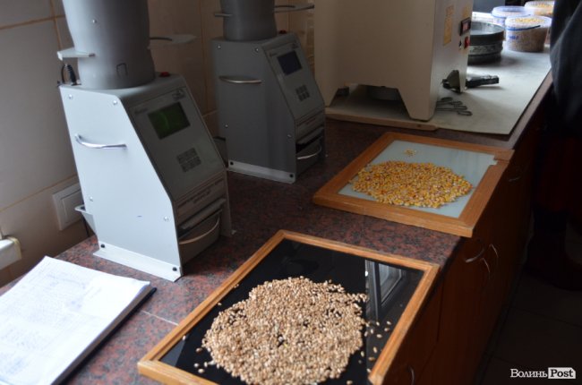 Чисте повітря, високі технології і ніякої «хімії»: як на Волині виготовляють курятину нового покоління. ФОТО*