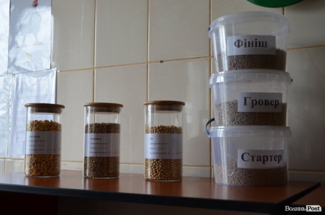 Чисте повітря, високі технології і ніякої «хімії»: як на Волині виготовляють курятину нового покоління. ФОТО*