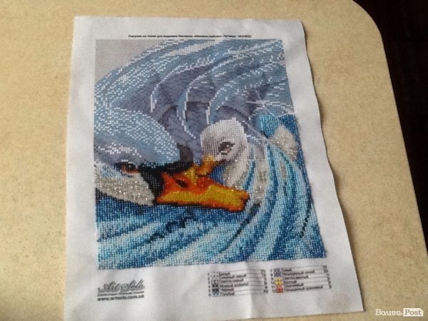 Жорстоке побиття школярки у Ковелі: педагоги, батьки та учні роблять винною потерпілу дитину. ФОТО. ВІДЕО 