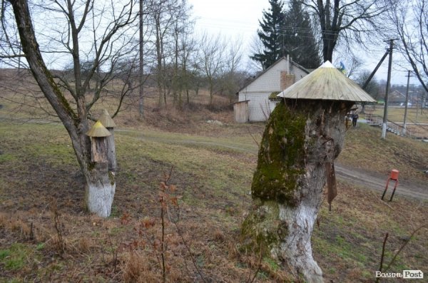 Бджільництво по-волинськи: луцькі пасічники створили «музей меду»