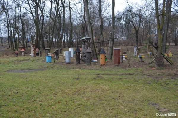 Бджільництво по-волинськи: луцькі пасічники створили «музей меду»