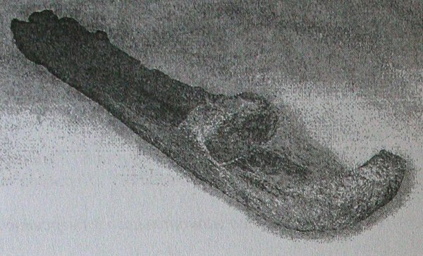 Човен-довбанка. Фото зі статті М. Мордовського та Г.Шаповалова з наукового збірника «Волинський музейний вісник», 2010