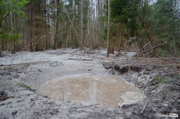 «Бурштинова мафія» на Волині: «криша», долари і селяни