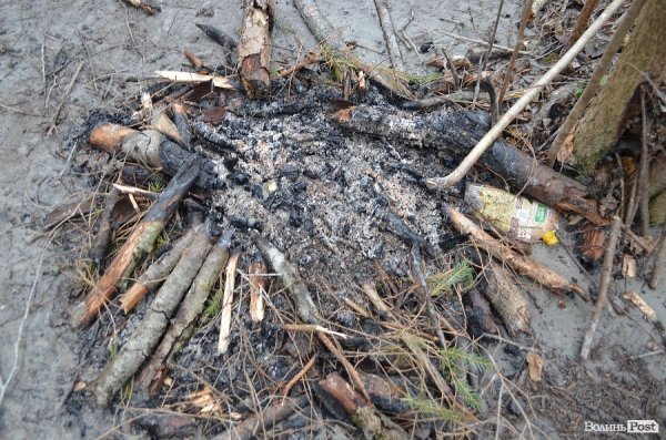 «Бурштинова мафія» на Волині: «криша», долари і селяни